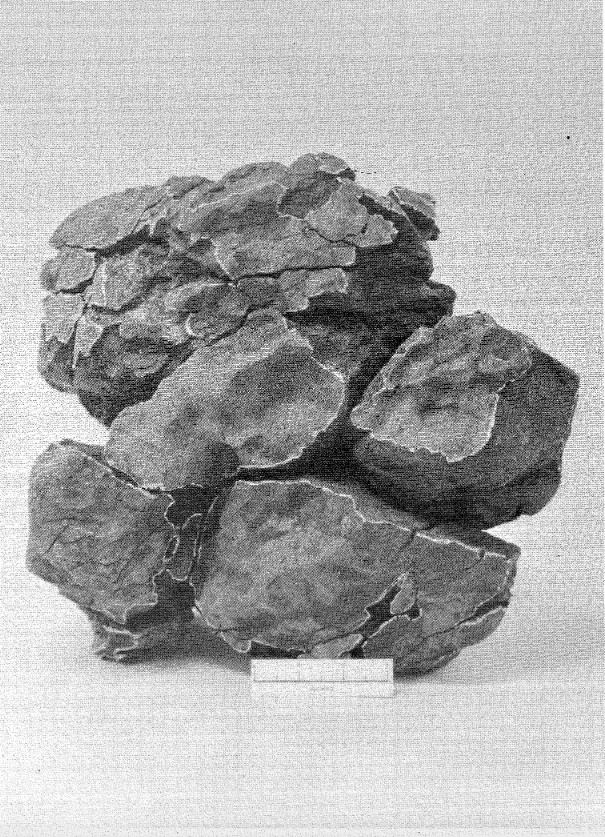 Rowena meteorite 1