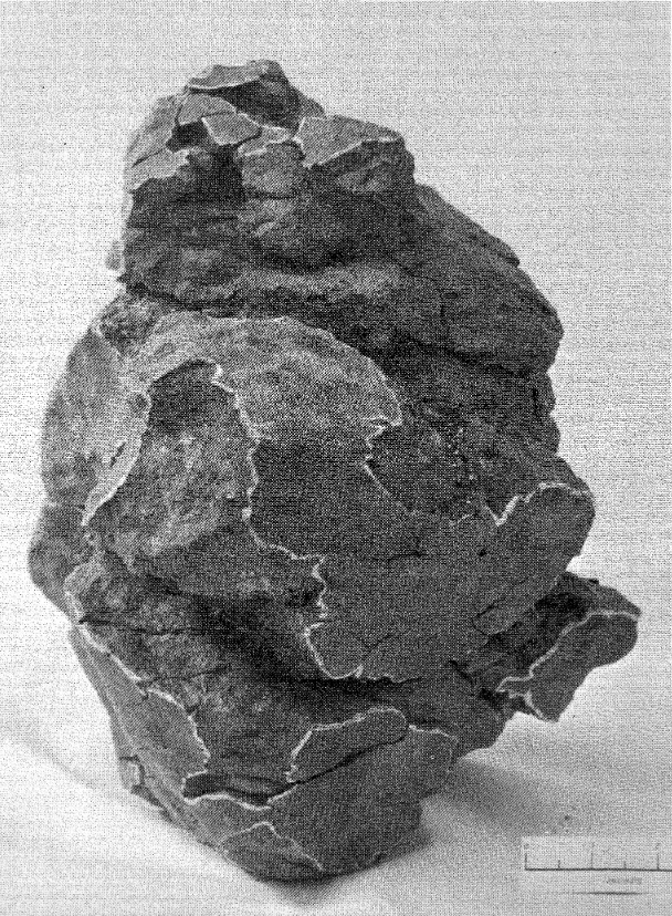 Rowena Meteorite 2