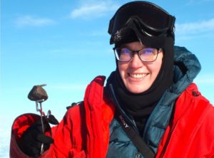 Antarctic meteorite collection