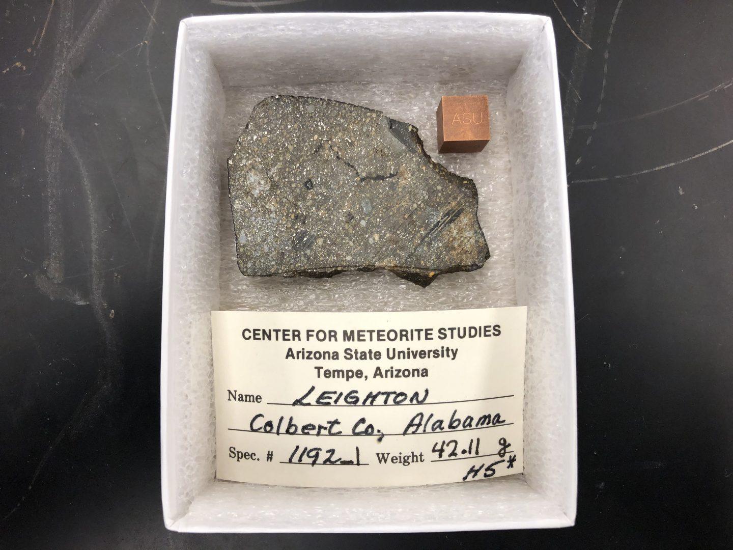Leighton meteorite