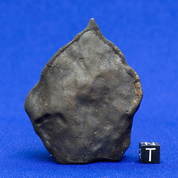 Murchison meteorite