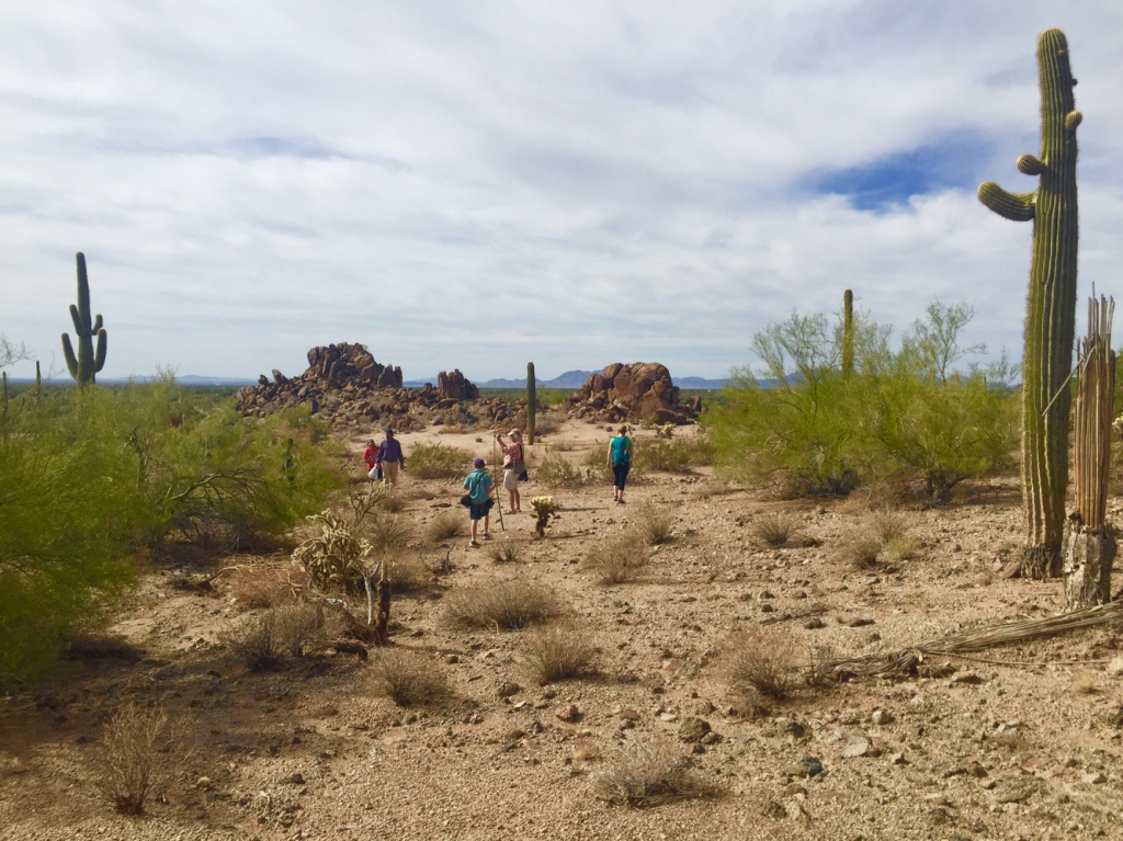 Sonoran Desert Trip