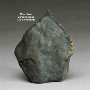Murchison meteorite